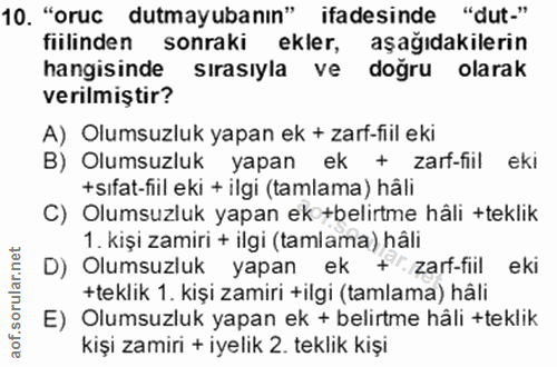 Soru 10