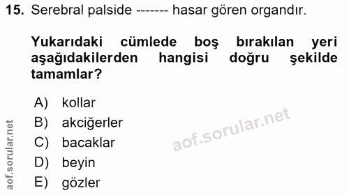 Soru 15