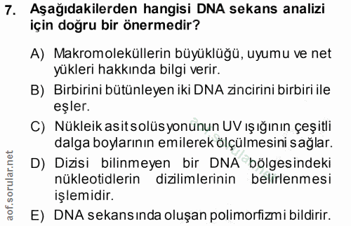 Soru 7