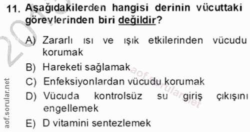 Soru 11