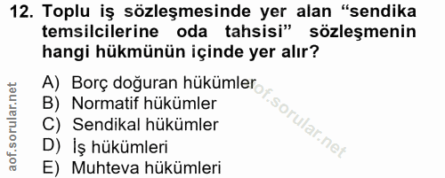 Soru 12