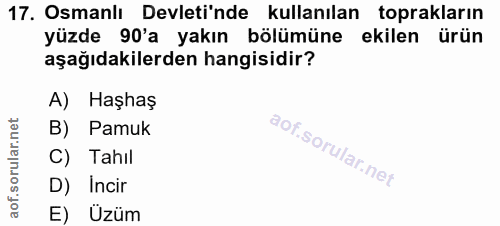 Soru 17