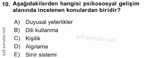 Soru 10