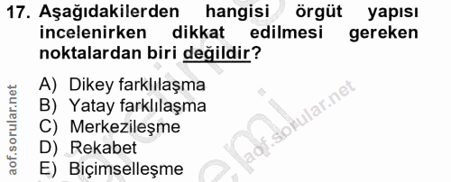 Soru 17