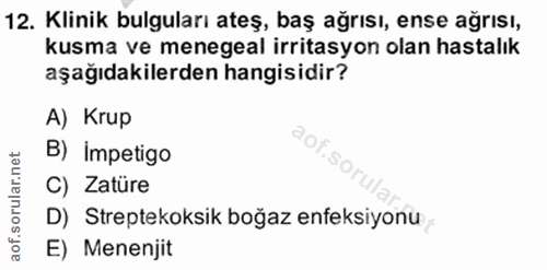 Soru 12
