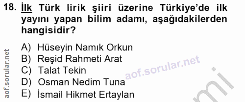 Soru 18