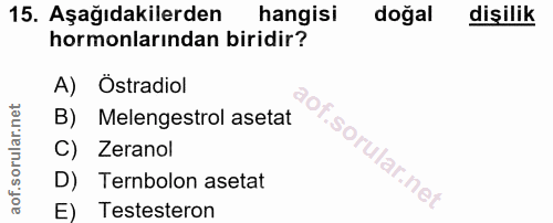 Soru 15