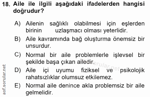 Soru 18