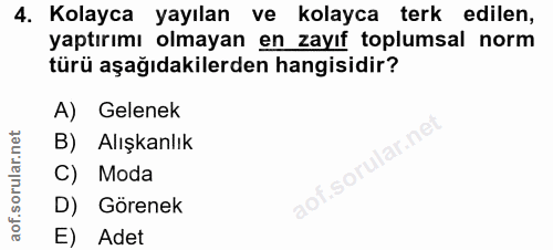 Soru 4