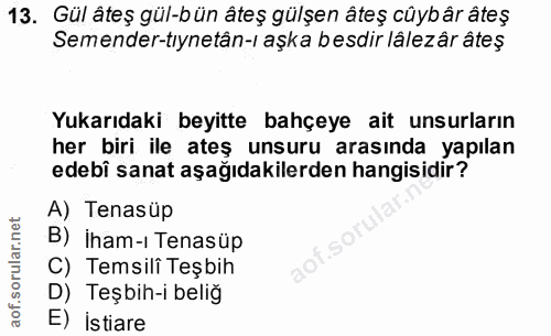 Soru 13