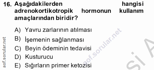 Soru 16