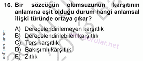 Soru 16