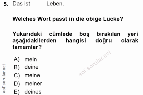 Soru 5