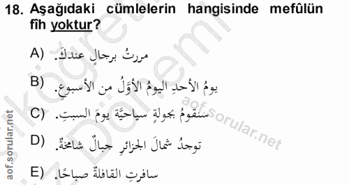 Soru 18