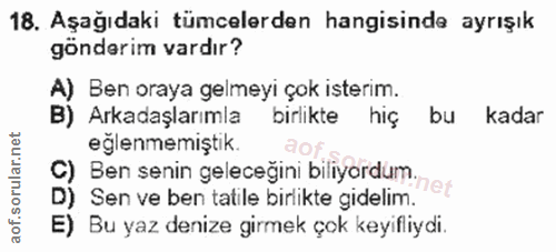 Soru 18