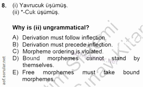 Soru 8