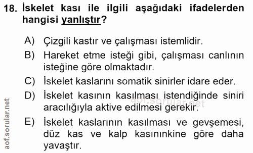 Soru 18