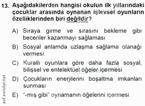 Soru 13