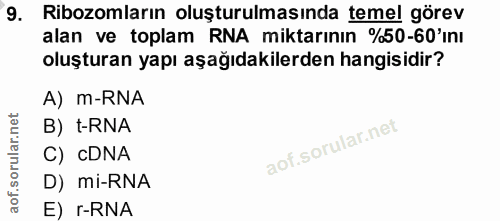 Soru 9