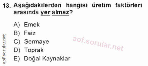 Soru 13