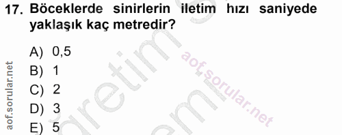 Soru 17