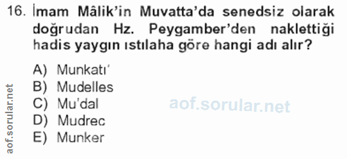 Soru 16