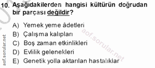 Soru 10