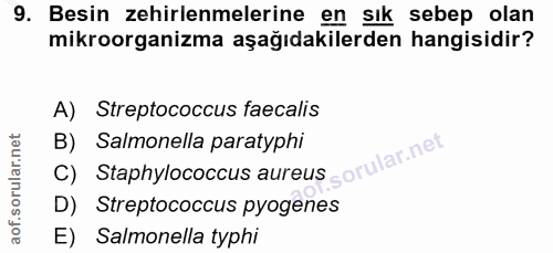 Soru 9