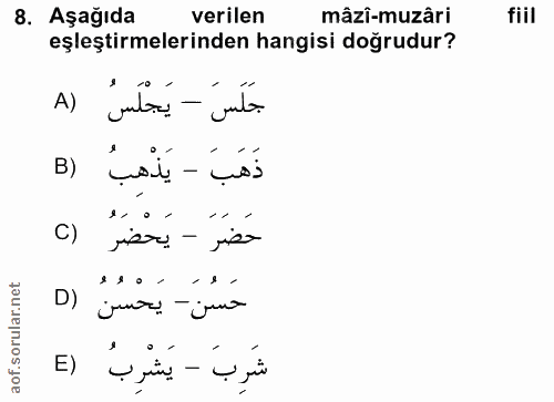 Soru 8
