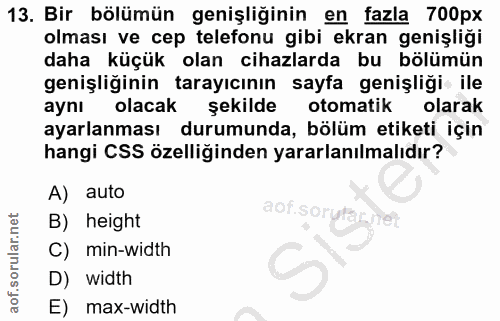 Soru 13