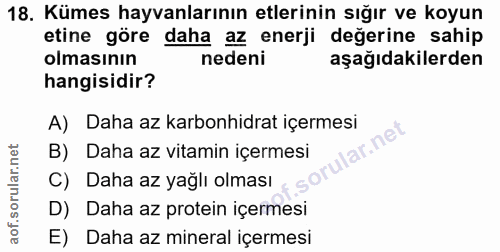 Soru 18