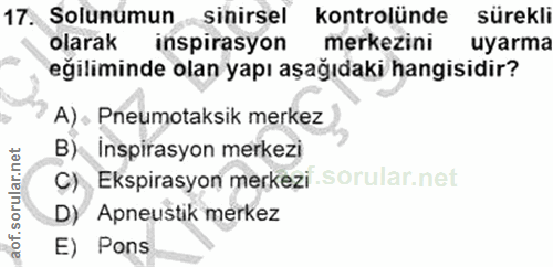 Soru 17