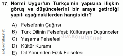 Soru 17