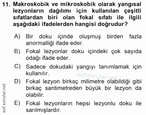 Soru 11