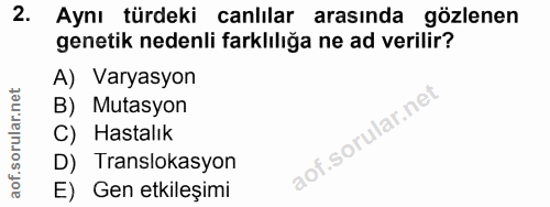 Soru 2