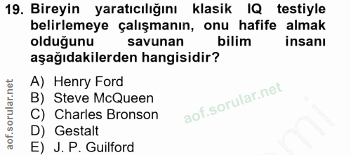 Soru 19