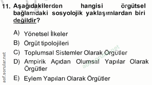 Soru 11