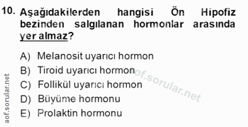 Soru 10