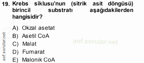 Soru 19