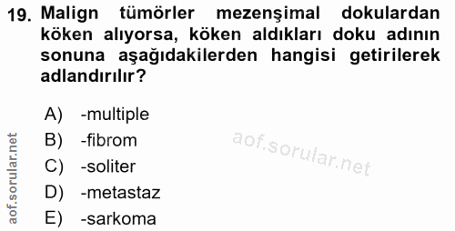 Soru 19