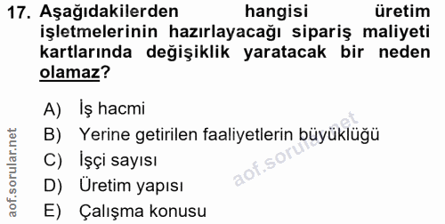 Soru 17