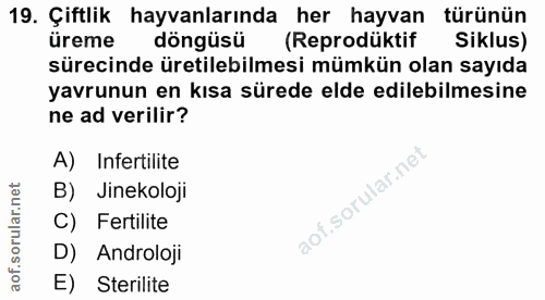 Soru 19