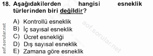 Soru 18