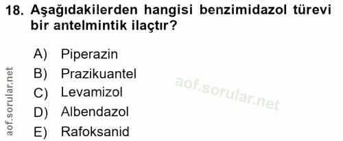 Soru 18