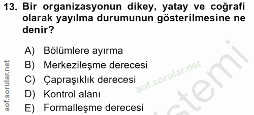 Soru 13