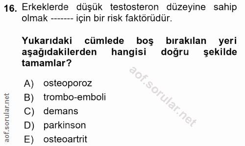Soru 16