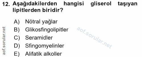 Soru 12