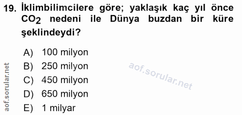 Soru 19
