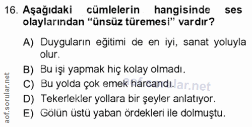 Soru 16