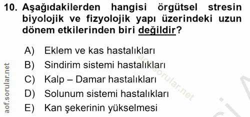 Soru 10